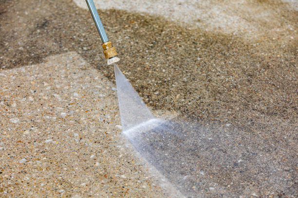 Best Animal Enclosure Cleaning  in Dublin, GA